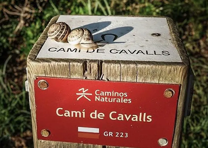 Carema Garden Village Apartmán *